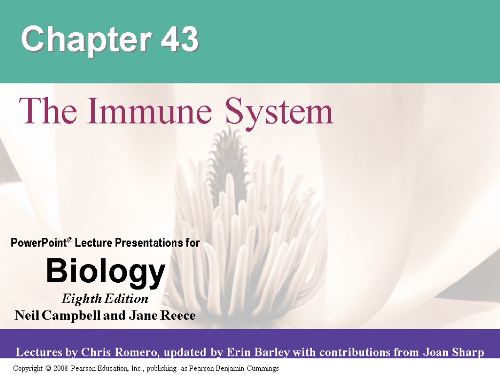 Chapter 43 The Immune System